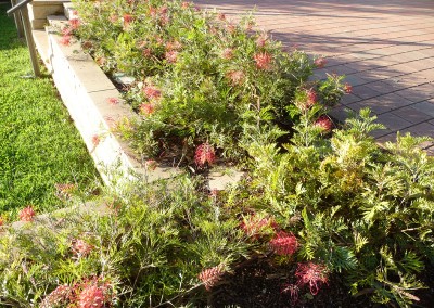 Dirtwork Landscapes Backyard designs