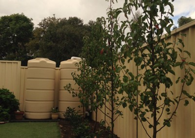 Dirtwork Landscapes Backyard designs