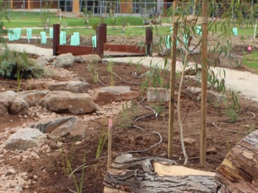 Trinity Gardens Primary School