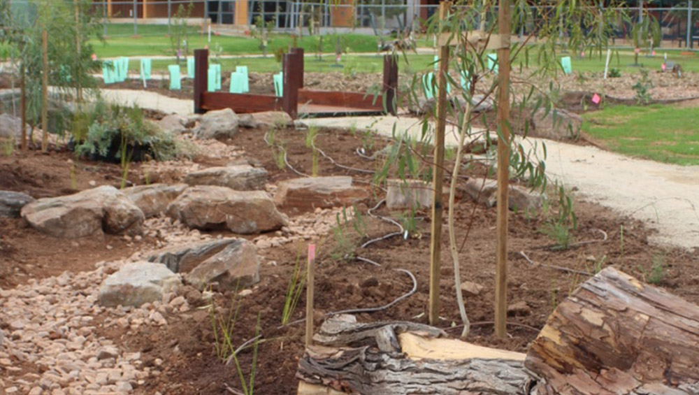 Trinity Gardens Primary School