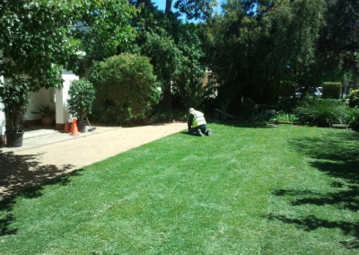 Rollout Kikuyu turf Cumberland Park