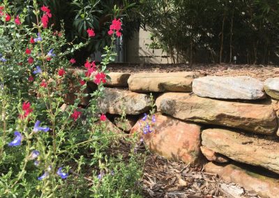 Dirtwork Landscapes Backyard Concepts