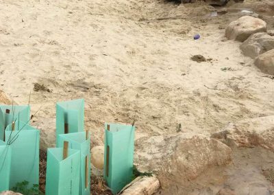 Dirtwork Landscapes Nature Play Features