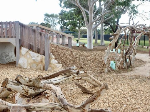 Elizabeth South Primary School