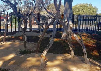 Dirtwork Landscapes Nature Play Build