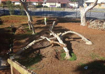 Dirtwork Landscapes Nature Play Build