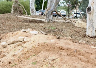 Dirtwork Landscapes Nature Play Build