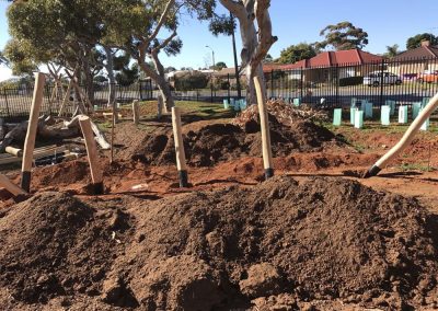 Dirtwork Landscapes Nature Play Build