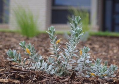 Dirtwork Landscapes Backyard designs