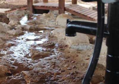 Dirtwork Landscapes Nature Play Features