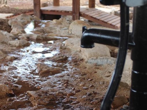 Elizabeth Grove Primary School