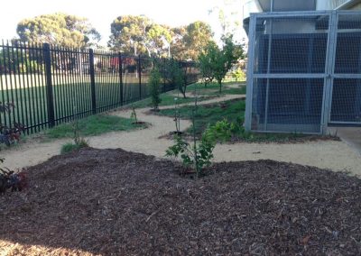 Dirtwork Landscapes Nature Play Features