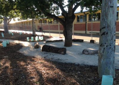 Dirtwork Landscapes Nature Play Features