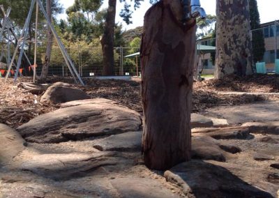 Dirtwork Landscapes Nature Play Features