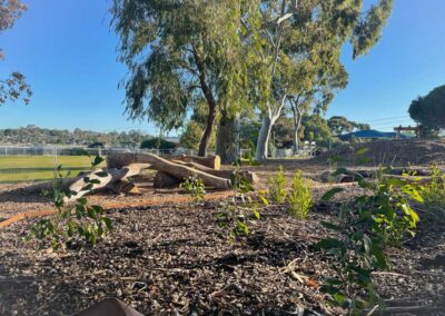 Dirtwork Landscaping - Softscaping natural elements