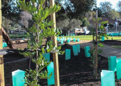 Dirtwork Landscaping - Softscaping natural elements