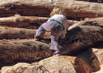 Dirtwork Landscapes log play structure